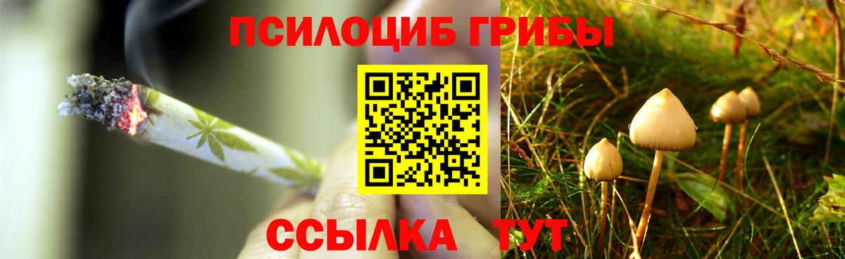 A PVP Чернушка